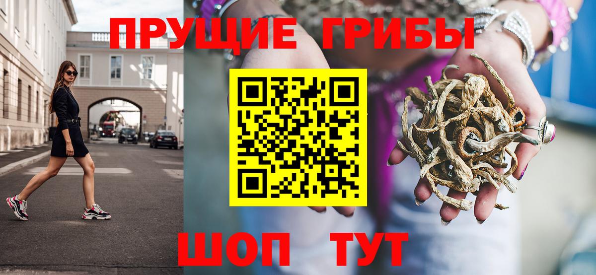 Новозыбков  Псилоцибиновые грибы прущие грибы  Вход с VPN  Псилоцибиновые грибы прущие грибы 