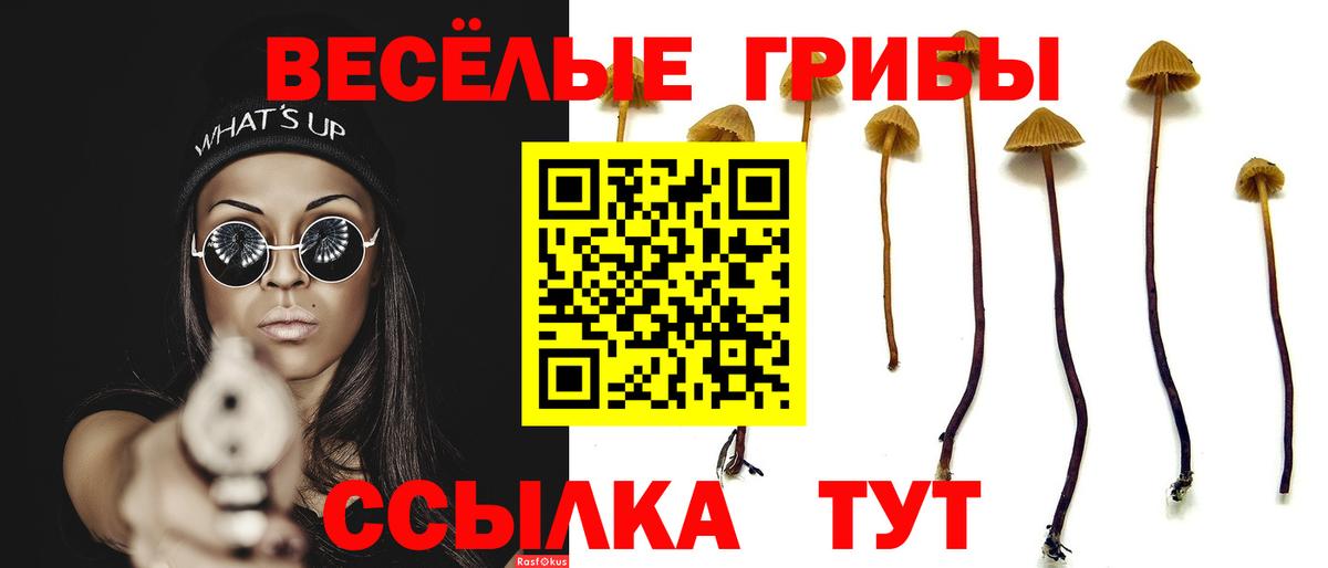 APVP Новозыбков